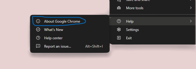 about google chrome